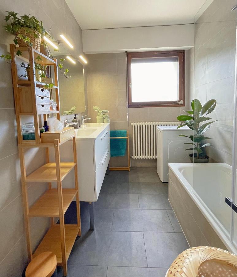 Appartement Tres Cosy A 5 Min Aeroport Geneve Ferney-Voltaire Exterior photo