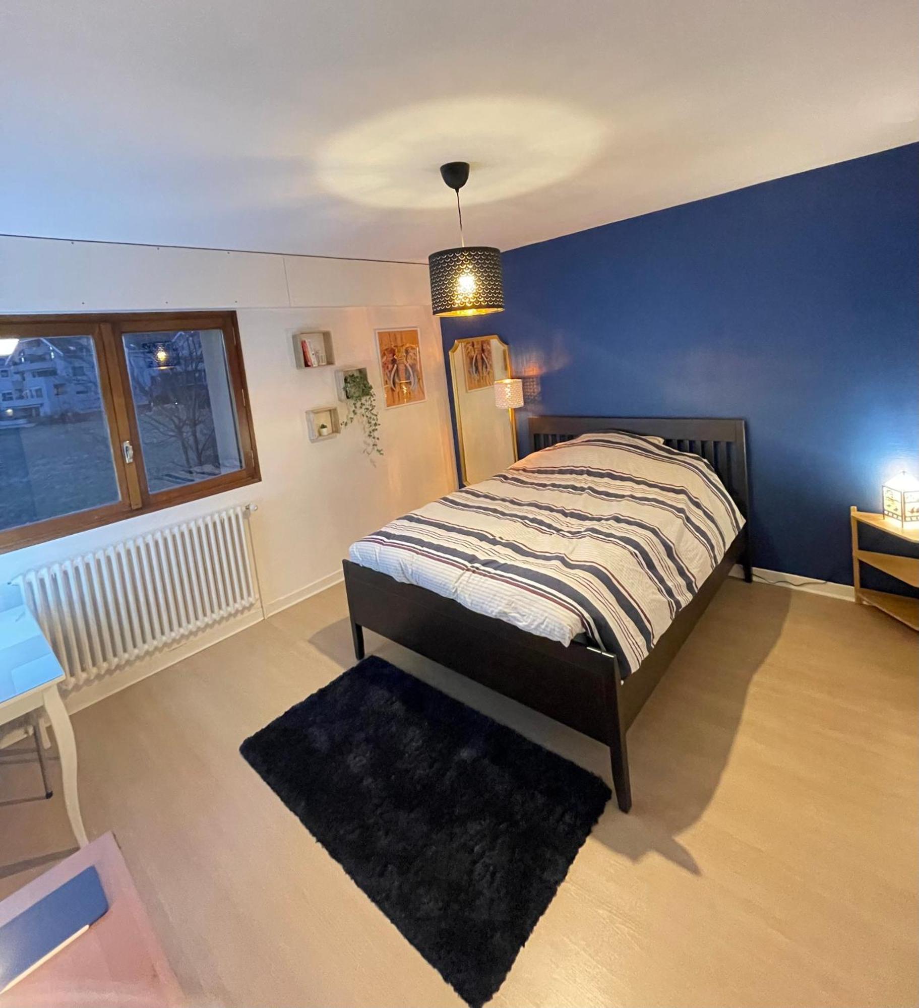 Appartement Tres Cosy A 5 Min Aeroport Geneve Ferney-Voltaire Exterior photo