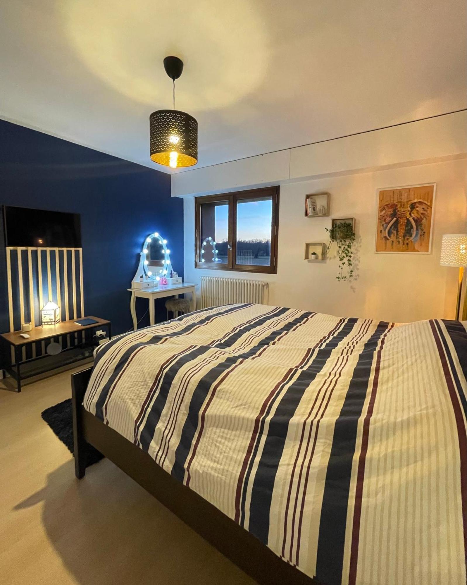 Appartement Tres Cosy A 5 Min Aeroport Geneve Ferney-Voltaire Exterior photo