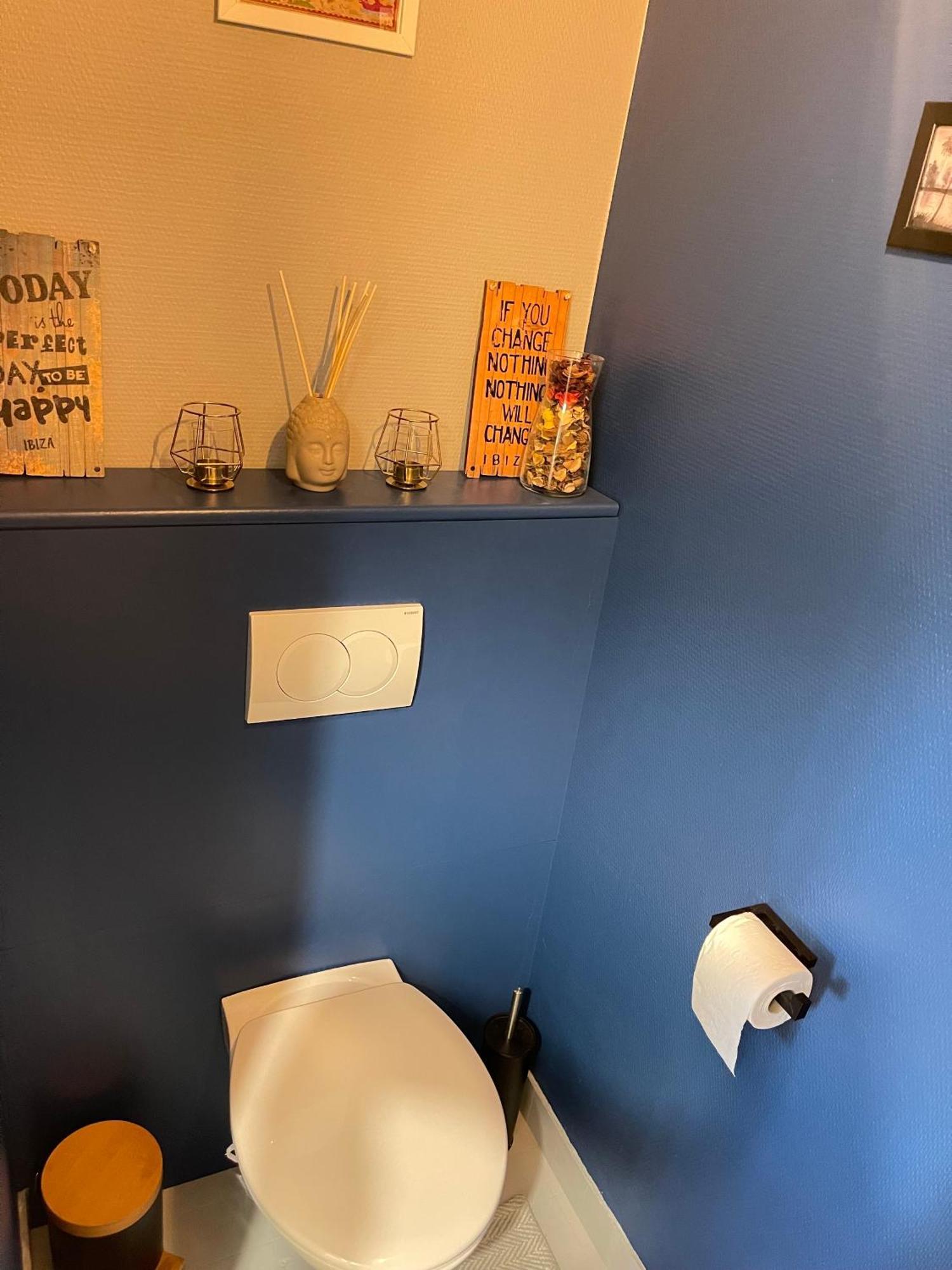 Appartement Tres Cosy A 5 Min Aeroport Geneve Ferney-Voltaire Exterior photo