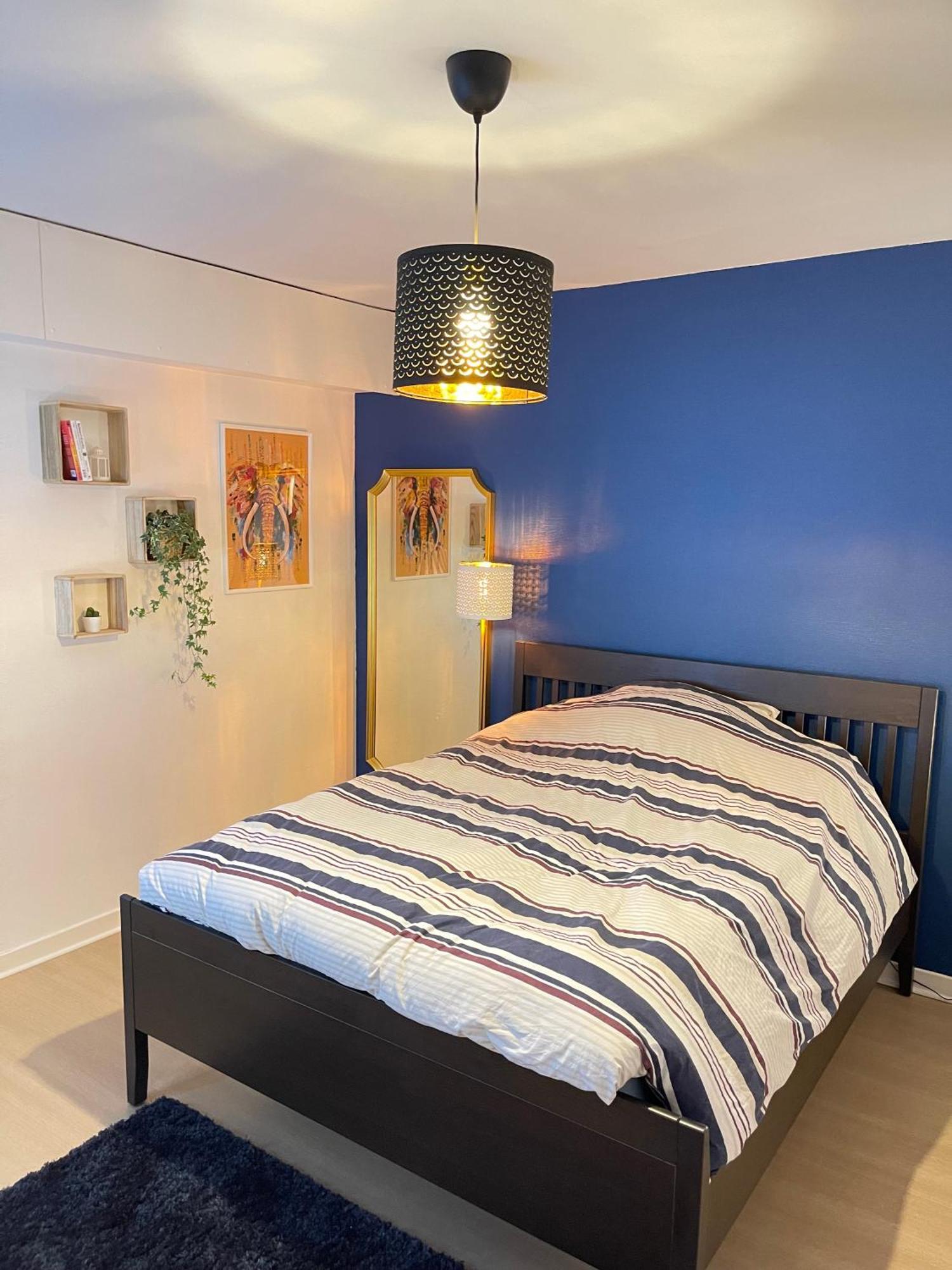Appartement Tres Cosy A 5 Min Aeroport Geneve Ferney-Voltaire Exterior photo
