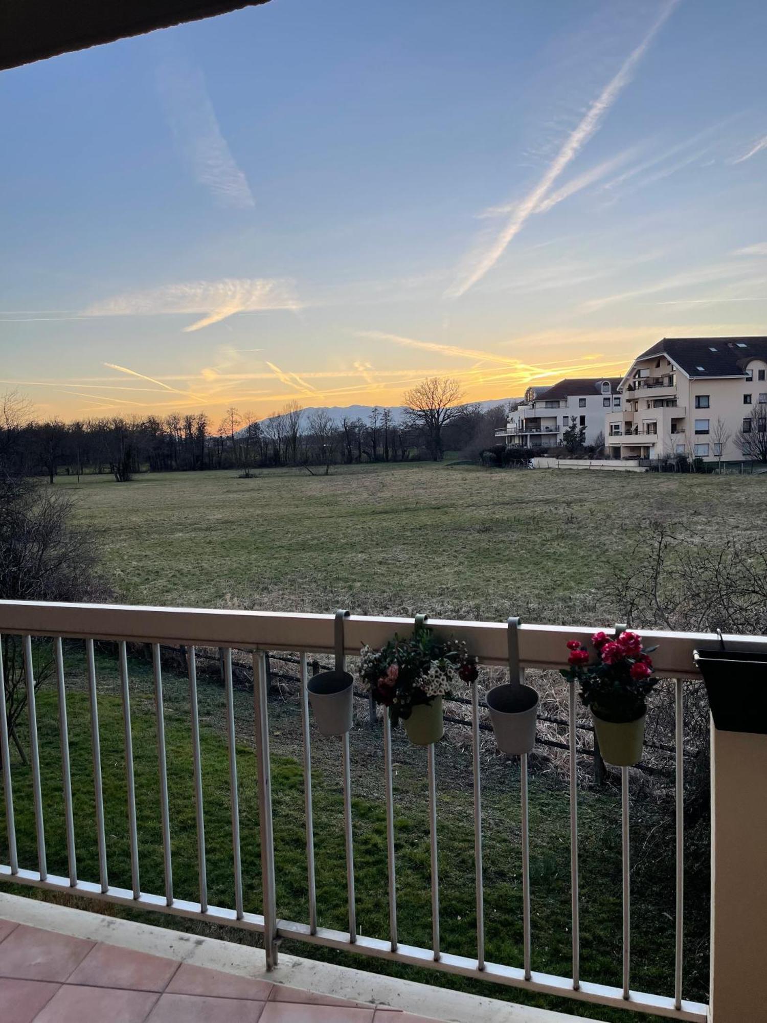 Appartement Tres Cosy A 5 Min Aeroport Geneve Ferney-Voltaire Exterior photo