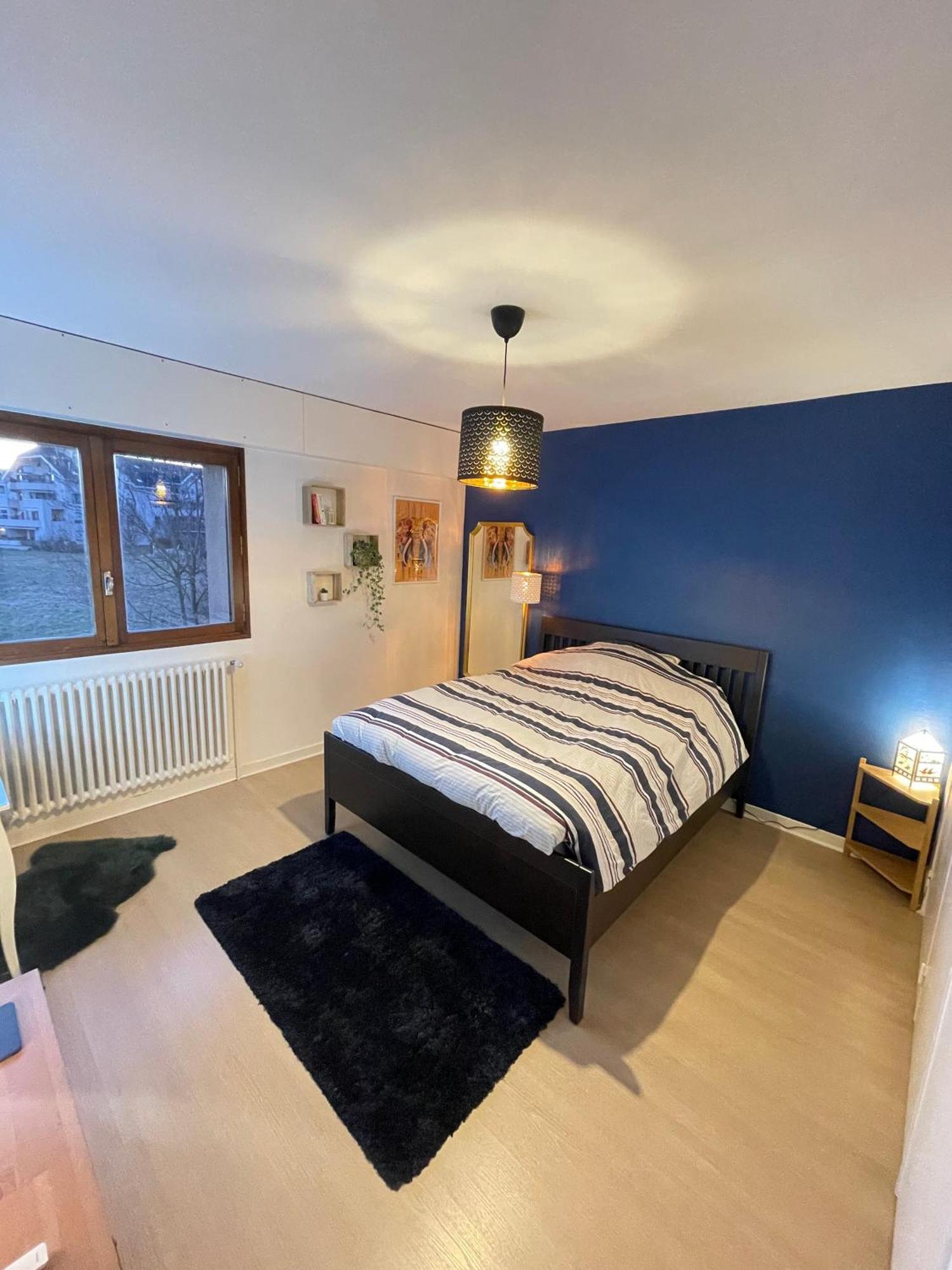 Appartement Tres Cosy A 5 Min Aeroport Geneve Ferney-Voltaire Exterior photo